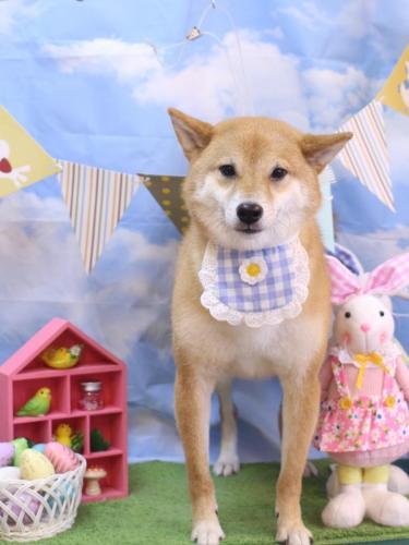 20240315シュウくん